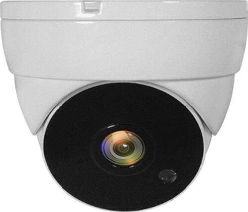 LevelOne ACS-5302 Sicherheitskamera Dome CCTV Sicherheitskamera Innen & Außen Zimmerdecke