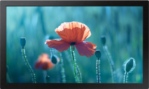 Samsung QB13R Digital Signage Flachbildschirm 33 cm (13) LCD WLAN 300 cd/m Full HD Schwarz Tizen 4.0