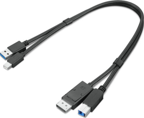 Lenovo 4X91D11453 USB Kabel 0,43 m USB 3.2 Gen 1 (3.1 Gen 1) USB A USB B Schwarz