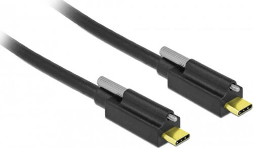 DeLOCK 84138 USB Kabel 2 m USB 3.2 Gen 2 (3.1 Gen 2) USB C Schwarz