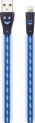 2GO 795536 Lightning-Kabel 1 m Blau