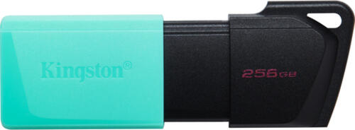 KINGSTON 256GB DataTraveler Exodia M