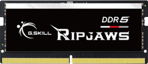 G.Skill Ripjaws F5-5200S3838A16GX1-RS Speichermodul 16 GB 1 x 16 GB DDR5 5200 MHz