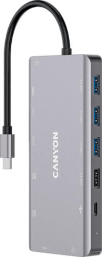 Canyon DS-12 USB 3.2 Gen 1 (3.1 Gen 1) Type-C Grau