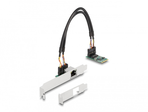 DeLOCK 95272&comma; Ethernet&comma; 2500 Mbit&sol;s