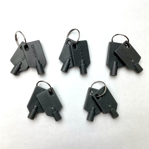QNAP KEY-02-10PCS Rack Zubeh&ouml;r Sperrschl&uuml;ssel