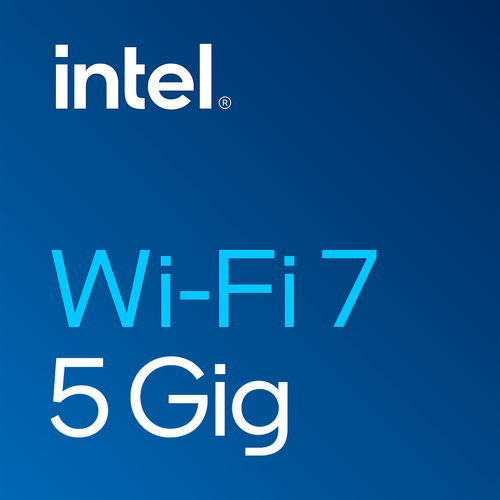 Intel Wi-Fi 7 BE200&comma; WLAN &sol; Bluetooth&comma; Wi-Fi 7 &lpar;802&period;11be&rpar;&comma; 5800 Mbit&sol;s
