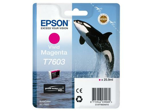 Epson C13T76034N10&comma; original&comma; magenta