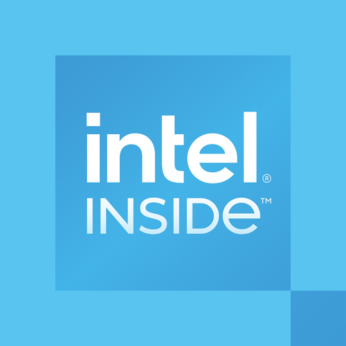 Intel Processor 300 300T&comma; tray&comma; 2C&sol;4T&comma; LGA 1700&comma; Raptor Lake CPU