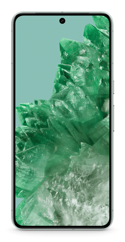 Google Pixel 8 Pro 17 cm (6.7) Dual-SIM