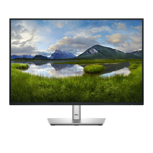DELL P Series P2425 Computerbildschirm