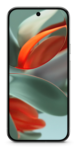 Google Pixel 9 Pro XL 17,3 cm (6.8)