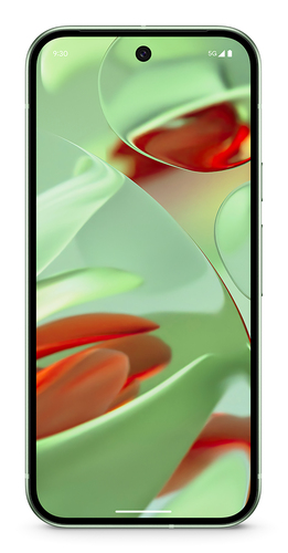 Google Pixel 9 16 cm (6.3) Dual-SIM