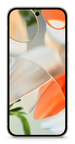 Google Pixel 9 16 cm (6.3) Dual-SIM Google Pixel 9 16 cm (6.3) Dual-SIM
