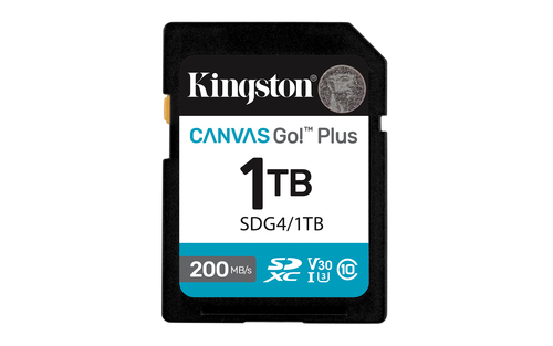 Kingston Technology Canvas Go! Plus Kingston Technology Canvas Go! Plus