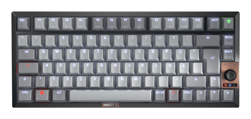 CHERRY KW 300 MX schwarz, kupfer, grau Tastatur, Layout: DE, Cherry MX2A Brown, beleuchtet CHERRY KW 300 MX schwarz, kupfer, grau Tastatur, Layout: DE, Cherry MX2A Brown, beleuchtet