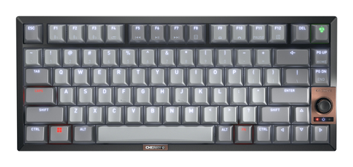 CHERRY KW 300 MX schwarz&comma; kupfer&comma; grau Tastatur&comma; Layout&colon; US Englisch&comma; Cherry MX2A Silent Red&comma; beleuchtet