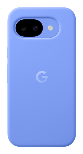 Google GA10873-WW
