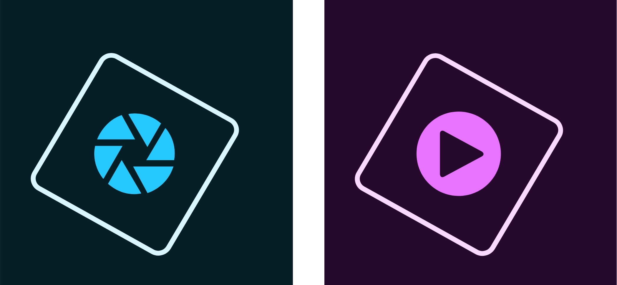 Adobe Photoshop Elements 2019 & Premiere Elements 2019 Student & Teacher&comma; ESD