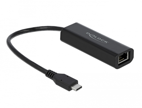 DeLOCK 66298&comma; Ethernet&comma; 5000 Mbit&sol;s&comma; schwarz