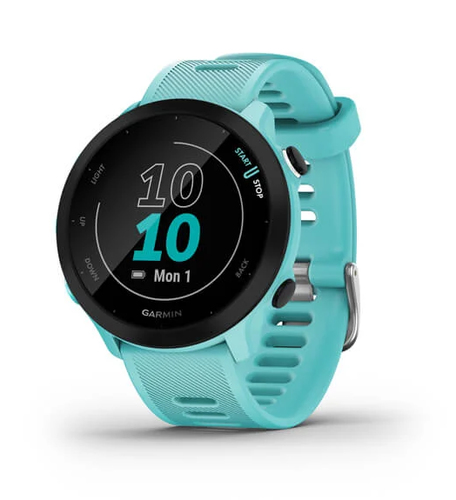 Garmin Forerunner 55 2,64 cm (1.04)