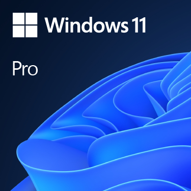 Microsoft Windows 11 Pro&comma; Erstausr&uuml;ster &lpar;OEM&rpar;&comma; 1 Lizenz&lpar;en&rpar;