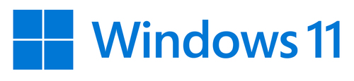Microsoft Windows 11 Pro&comma; Erstausr&uuml;ster &lpar;OEM&rpar;&comma; 1 Lizenz&lpar;en&rpar;