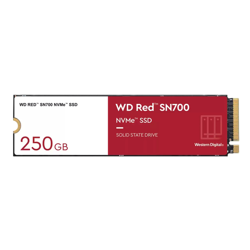 Western Digital WD Red SN700 250 GB