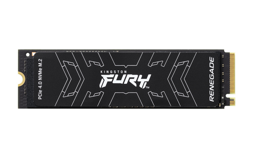 Kingston Technology 2000G FURY RENEGADE