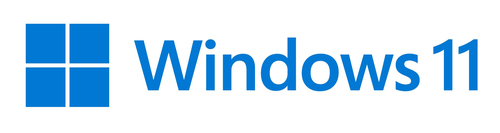 Microsoft Windows 11 Pro&comma; Lizenz&comma; 1 Lizenz&lpar;en&rpar;