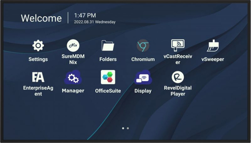 Viewsonic CDE9830