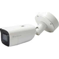 LevelOne Gemini Zoom IP Camera,