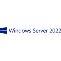 Microsoft Windows Server 2022 Kundenzugangslizenz