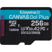 256 GB Kingston Canvas Go! Plus