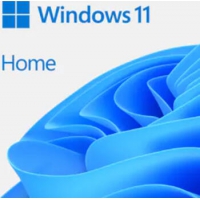 Microsoft Windows 11 Home 64Bit,