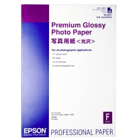 Epson Premium Glossy Photo Paper,