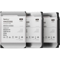Synology HAS5300-16T Interne Festplatte