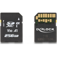 DeLOCK 54091 Speicherkarte 256 GB SD UHS-I