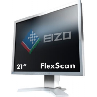 21.3 Zoll Eizo FlexScan S2133 grau