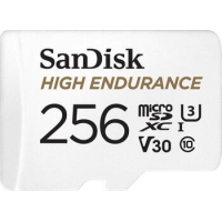 256 GB SanDisk High Endurance microSDXC