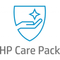 HP Care Pack Next Business Day Weltweit 