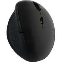 LogiLink Wireless Ergonomic Mouse,