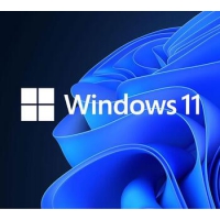 Microsoft Windows 11 Home 64Bit
