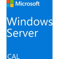 Fujitsu Windows Server 2022 CAL 1 Lizenz 